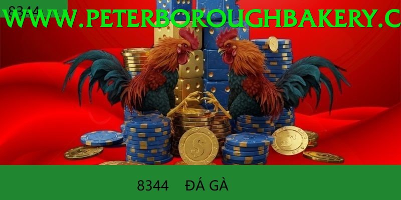 Đá Gà Trực Tiếp - Trải nghiệm tuyệt vời