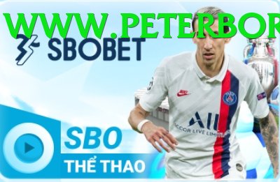 Cá Cược Thể Thao - zetbet