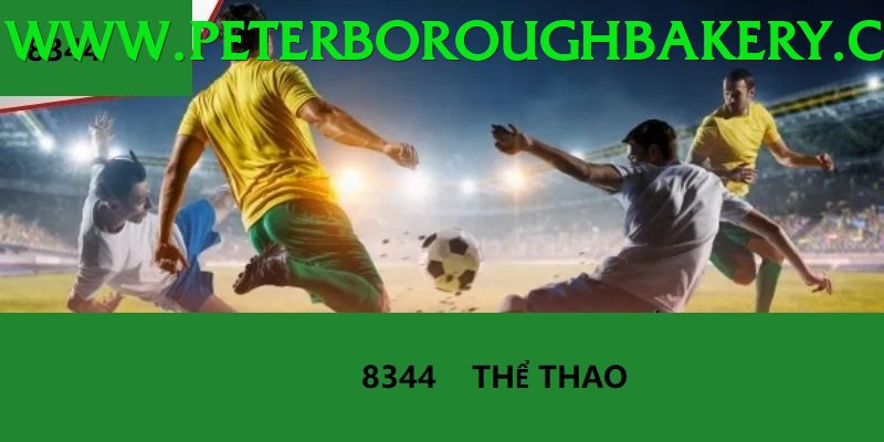 Cá Cược Thể Thao - Trải nghiệm tuyệt vời